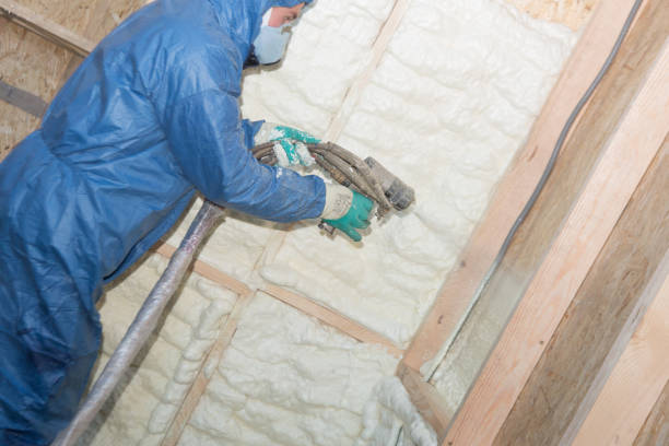 Best Crawl Space Insulation  in USA